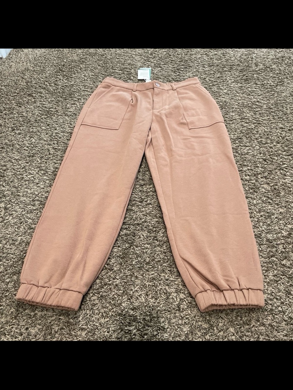 Halara NWT, casual jogger style pants size large regular